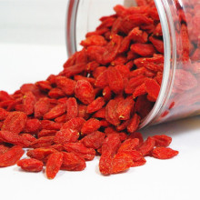 Baies de goji bien conservées baies de goji sucrées bon goût